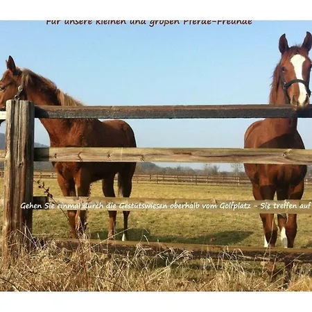 Harzfewo-wolf * Bad Harzburg