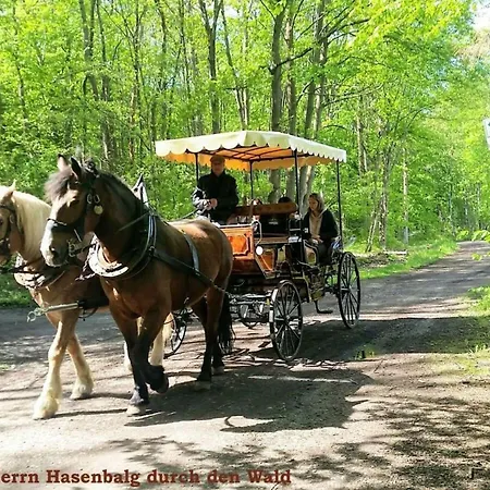 Harzfewo-wolf Lejlighed