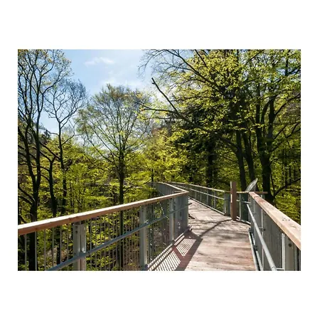 Apartment Harzfewo-wolf *