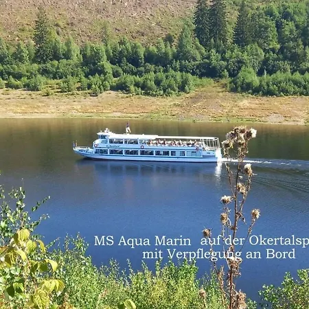 Harzfewo-wolf Lejlighed Bad Harzburg