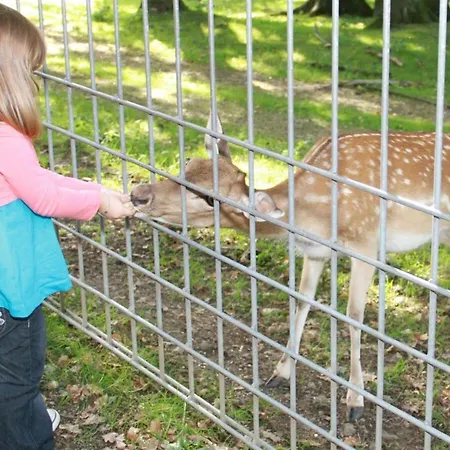 Lejlighed Harzfewo-wolf *