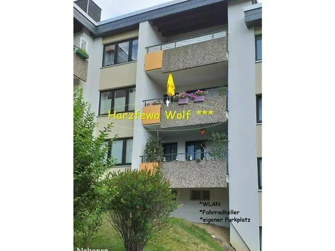 Апартаменты Harzfewo-wolf *