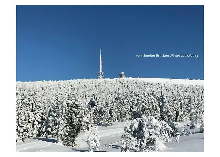 Апартаменты Harzfewo-wolf *