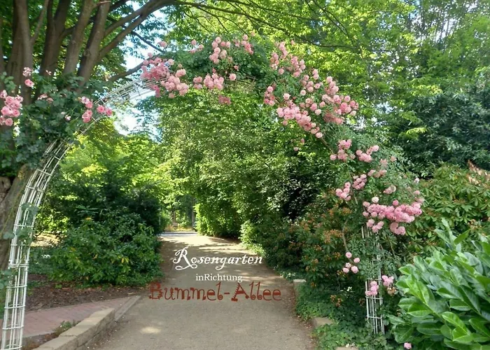 Апартаменты Harzfewo-wolf