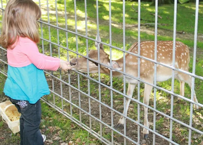 Апартаменты Harzfewo-wolf *